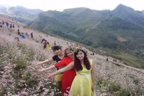 Lào Cai thêm sức hút với hơn 30ha tam giác mạch