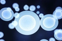 Những bệnh có thể chữa được bằng tế bào gốc