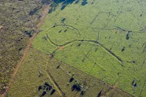 Giải mã những hình thù bí ẩn tại Amazon hàng nghìn năm trước