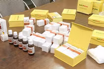 HN: Bắt giám đốc công ty bán thuốc điều trị ung thư giả