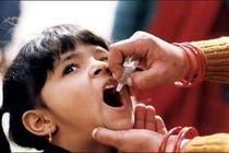 Phát hiện vi khuẩn tả 'siêu mạnh' đều từ châu Á