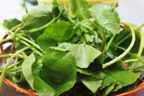 Lý do bạn nên ăn rau má thường xuyên