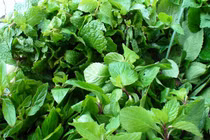 Mẹo chọn rau thơm thơm ngon hấp dẫn an toàn cho ngày tết 