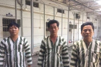 Thuê xe cẩu đi trộm máy biến thế nửa tỷ đồng