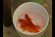 Phải cúng ông Công ông Táo bằng cá chép, đúng hay sai?