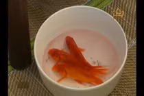 Phải cúng ông Công ông Táo bằng cá chép, đúng hay sai?