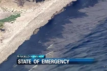 80000 lít dầu rò rỉ biến bờ biển Mỹ thành màu đen