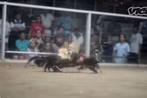 Tường tận về ngành công nghiệp tỷ đô ở Philippines