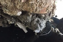 Nghi vấn xây cầu 40 tỷ đồng “cốt gỗ” giữa Thủ đô