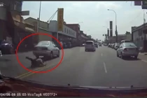 Liều chết lao vào ô tô đang chạy để ăn vạ
