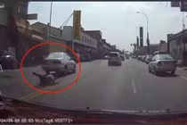 Liều chết lao vào ô tô đang chạy để ăn vạ