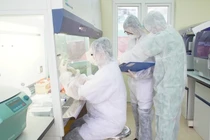 Quảng Ninh: Rà soát, lấy mẫu, giám sát người về từ ổ dịch Cẩm Giàng