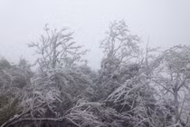 Thời tiết 10/1: Không khí lạnh tăng cường, miền Bắc chìm trong rét hại