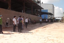 PCT huyện Cẩm Giàng: “Cty Giầy Cẩm Bình coi thường từ tỉnh đến huyện”