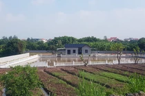 Mua bán đất nông nghiệp ở Hải Dương: Lộ chiêu trò xây nhà vượt phép