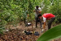 Sát hại mẹ vợ ở Quảng Bình: Giải mã hành vi tàn bạo của con rể