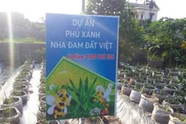 Bất thường dự án trồng cây nha đam của Cty Biobee Việt Pháp