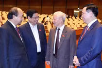 Các Uỷ viên Bộ Chính trị, Ban Bí thư do Trung ương giới thiệu ứng cử địa phương nào?