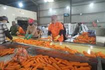 Hàng Hải Dương “tắc” đường ra cảng: Vướng mắc nào... tháo gỡ?