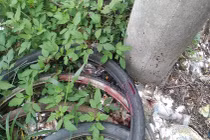 Hải Phòng: Giết người cùng thôn rồi đến cơ quan công an đầu thú