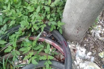 Hải Phòng: Giết người cùng thôn rồi đến cơ quan công an đầu thú