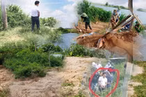 Cận cảnh nơi nghi chôn xác chủ nợ sau khi bị sát hại ở Hải Dương