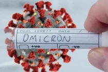 Đề xuất dừng các chuyến bay đến Nam Châu Phi, phòng biến chủng Omicron