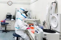 Xuất hiện ca nhiễm COVID-19 phức tạp, Hải Dương thông báo khẩn