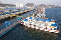 Doanh nghiệp làm cách nào ứng phó dịch COVID-19... kinh doanh hiệu quả?