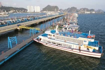 Doanh nghiệp làm cách nào ứng phó dịch COVID-19... kinh doanh hiệu quả?