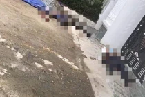 Nổ súng làm 2 người tử vong ở Nghệ An: Đã bắt được nghi phạm