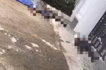 Nổ súng làm 2 người tử vong ở Nghệ An: Đã bắt được nghi phạm