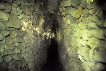 Bí ẩn tháp vỏ ốc cao nhất Việt Nam và “18 tầng địa ngục” ở Chùa Ốc