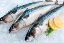 Ăn cá thường xuyên có tốt không? 