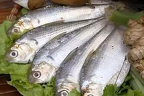 Loại cá “siêu thực phẩm”, giúp chắc xương, tốt cho phụ nữ mang thai