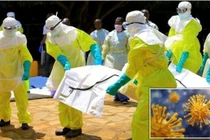 Bệnh lạ ở Congo tử vong trong 48h, WHO vào cuộc tìm nguyên nhân 