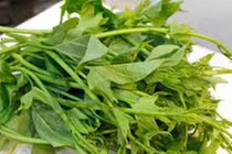 Loại rau quả nào tốt cho phụ nữ tuổi trung niên?