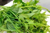 Loại rau quả nào tốt cho phụ nữ tuổi trung niên?
