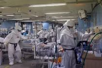 Trung Quốc phát hiện virus mới có thể lây sang người như COVID-19