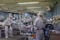 Trung Quốc phát hiện virus mới có thể lây sang người như COVID-19