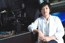 Nghiên cứu mới: Nhật Bản phát triển gan thu nhỏ từ tế bào iPS