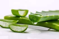 Công dụng tuyệt vời của nha đam