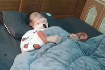 Thanh Hoá: Đình chỉ học 1 năm 4 nữ sinh đánh bạn gãy đốt sống cổ