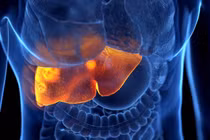 Phát hiện mới hợp chất tự nhiên ức chế tế bào ung thư gan