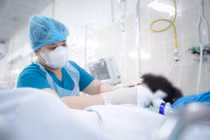 Bé trai 10 tuổi bị nhánh cây rơi trúng đầu hôn mê