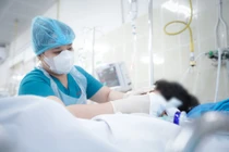 Bé trai 10 tuổi bị nhánh cây rơi trúng đầu hôn mê