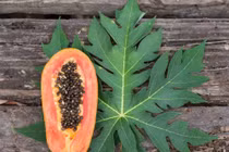 Top trái cây có hàm lượng magie cao tốt cho sức khoẻ