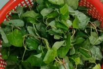 Nước ép rau diếp cá bổ dưỡng nhưng “đại kỵ” với một số người