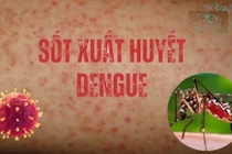 Nguy cơ sốt xuất huyết Dengue bùng phát 