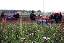 Lên quận: Cơ hội cho Bắc Từ Liêm “đổi đời"